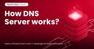 How DNS Server works