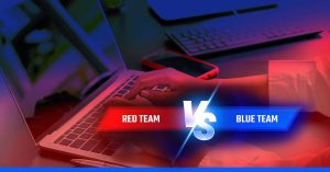 How do Red Teamers and Blue Teamers complement each other?