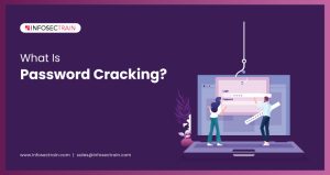 What Is Password Cracking