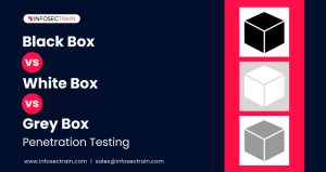 Black Box vs. White Box vs. Grey Box Penetration Testing
