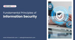 Fundamental Principles of Information Security