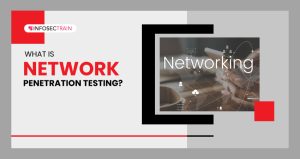 What is Network Penetration Testing
