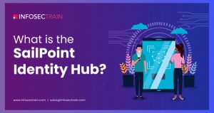 What is the SailPoint Identity Hub