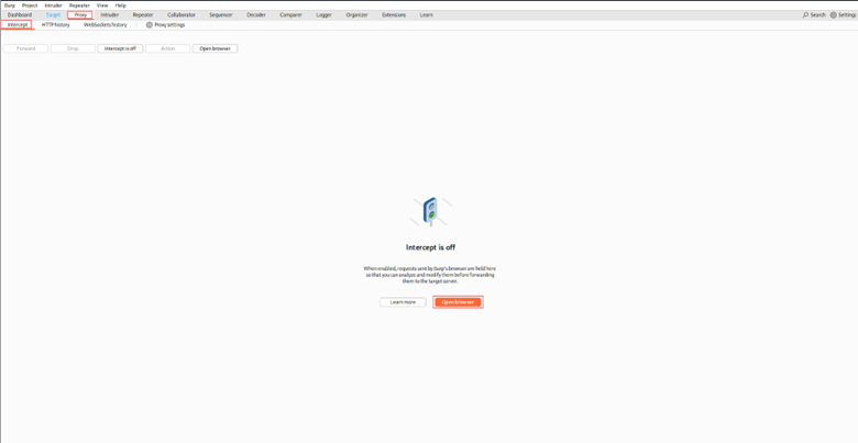 Configure Your Browser's Proxy Settings