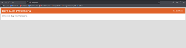 Install Burp Suite's CA Certificate