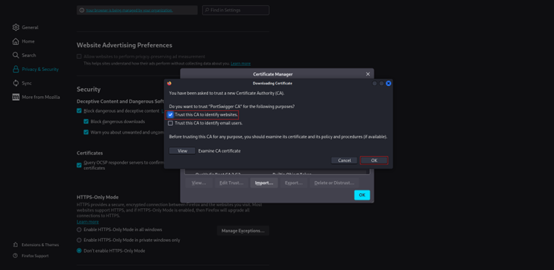 Trust this CA to identify websites