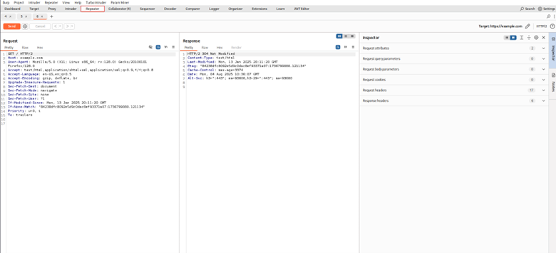 Be able to modify or repeat requests as needed via repeater