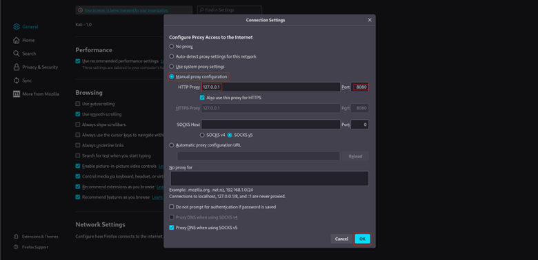 Configure Your Browser Proxy Settings