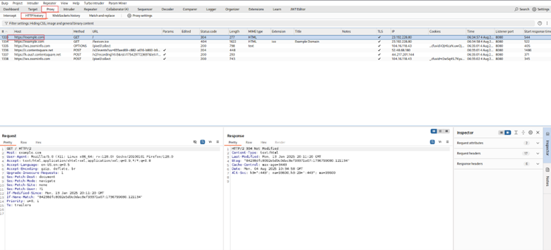 Verify HTTPS Interception