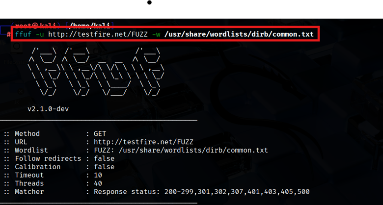 Basic Directory Brute-Force with FFUF