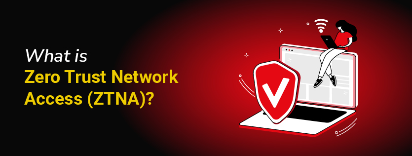 What is Zero Trust Network Access (ZTNA)