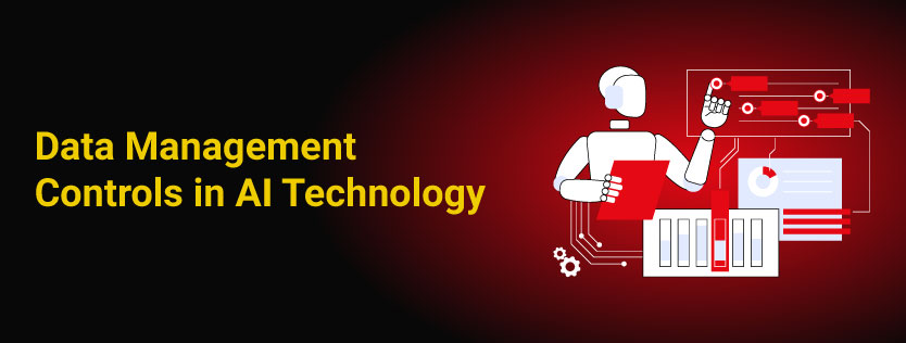 Data Management Controls in AI Technology