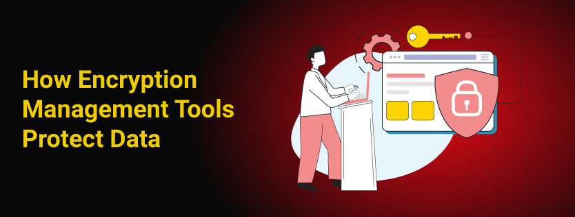 What Role Do Encryption Management Tools Play in Protecting Data at Rest and in Transit?