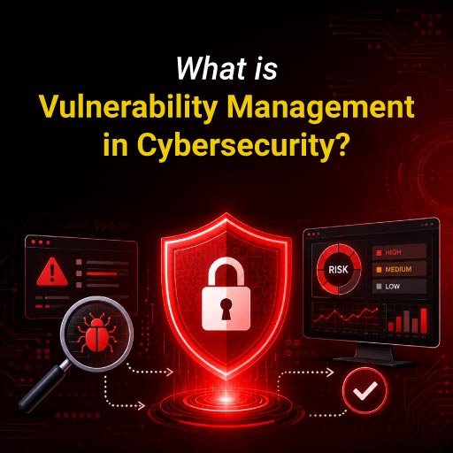 What is Vulnerability Management in Cybersecurity?