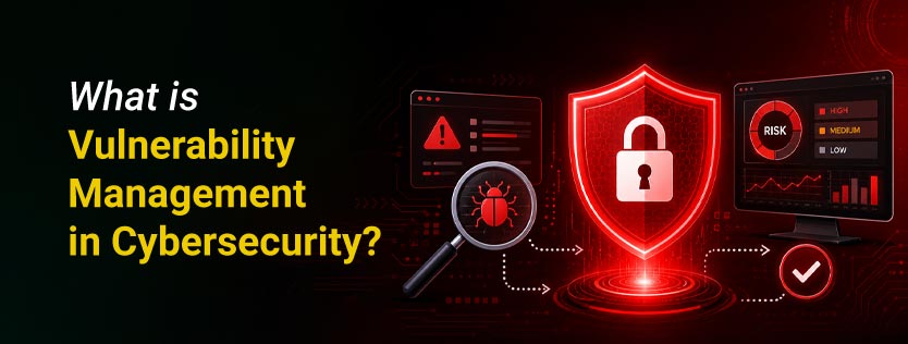 What is Vulnerability Management in Cybersecurity?