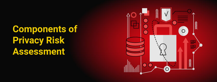 Components of Privacy Risk Assessment