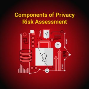Privacy Risk Rating Components of Privacy Risk Assessment