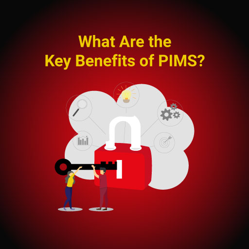 What are the Key Benefits of PIMS?