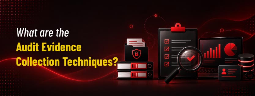 What are the Audit Evidence Collection Techniques?